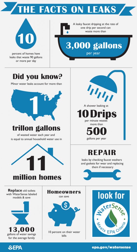 The Facts on Leaks