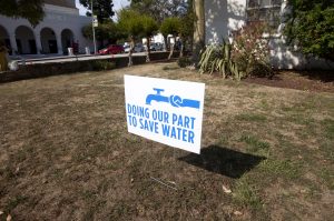Letting lawns go brown in summer months is an easy way to save water.
